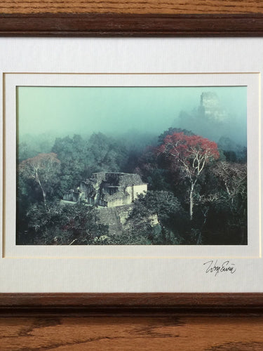 Maya Ruins of Tikal, Signed Otherworldly Treetop Photo by National Geographic Published Photographer