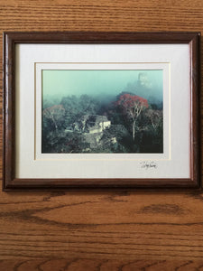 Maya Ruins of Tikal, Signed Otherworldly Treetop Photo by National Geographic Published Photographer